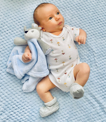 New Baby Boy Gifts Set Blue Deer Fawn Baby Hamper Baby Shower Gifts Boy New Born Gift Basket Blanket Comforter Newborn Baby Gift - Hoolaroo
