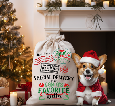 Personalised Dog Christmas Sack - Santa Paws Design, 4 Sizes, Personalised Christmas Toy Sack - Name & Initial - Hoolaroo