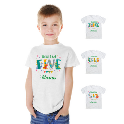 Personalised Dinosaur Kids T-shirt – Custom Birthday Shirt for Boys Age 1-6 - Hoolaroo