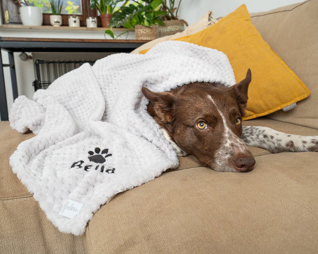 Top 3 Personalised Gifts for Dog Lovers