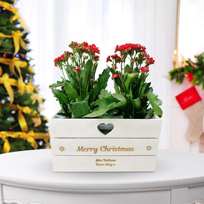Hoolaroo Personalised Engraved Christmas Planter Plant Pot Lined Wooden Heart Vintage Any Message Neighbour Gift Teacher Present Xmas - Hoolaroo