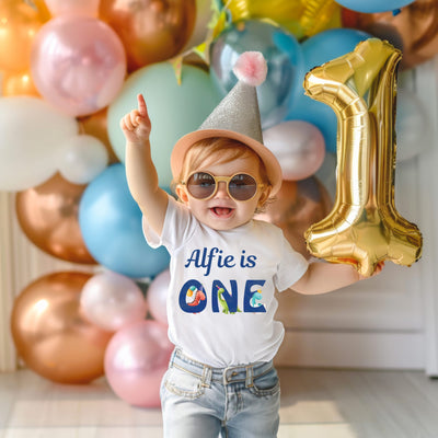 Personalised Birthday Tshirt For Boys Age 1 2 3 4 Dinosaur Birthday T Shirt Party Outfit 1st Birthday Custom Made Top - Hoolaroo