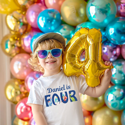 Personalised Birthday Tshirt For Boys Age 1 2 3 4 Dinosaur Birthday T Shirt Party Outfit 1st Birthday Custom Made Top - Hoolaroo